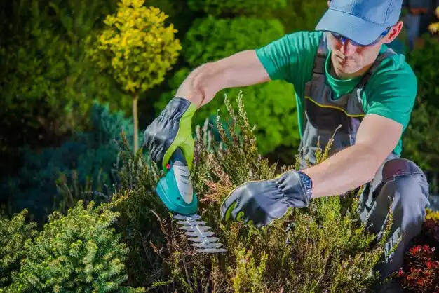 landscaping services Freeburg